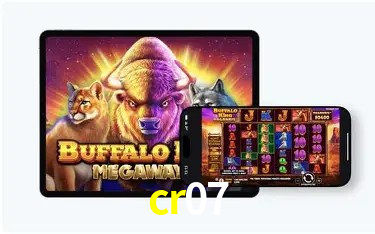 cr07